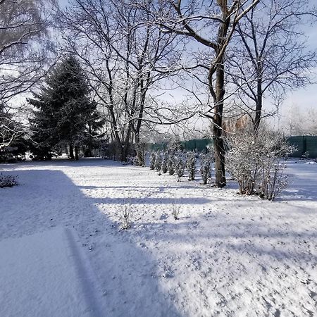 Szent Erzsebet Apartmanhaz Kecskemét Zewnętrze zdjęcie