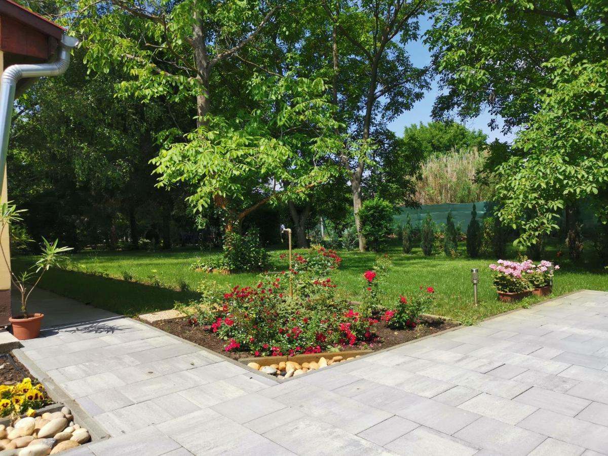 Szent Erzsebet Apartmanhaz Kecskemét Zewnętrze zdjęcie